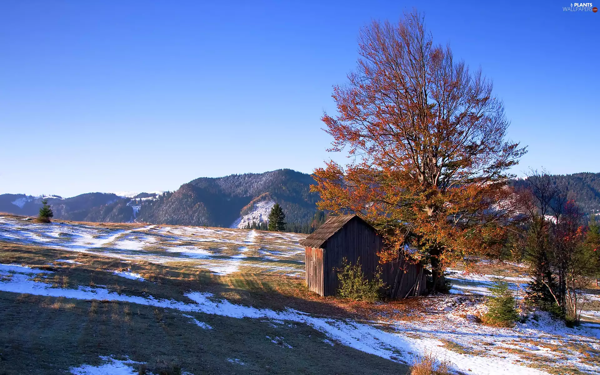 viewes, cote, woods, winter, Mountains, trees