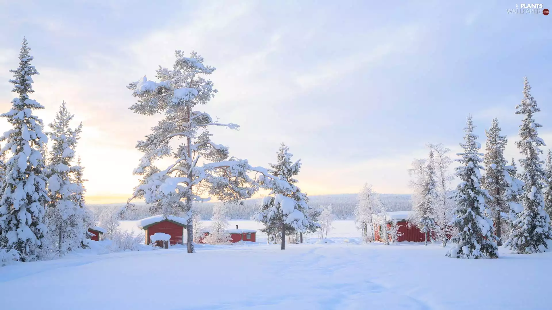 Snowy, Lapland, viewes, winter, Finland, trees, Houses