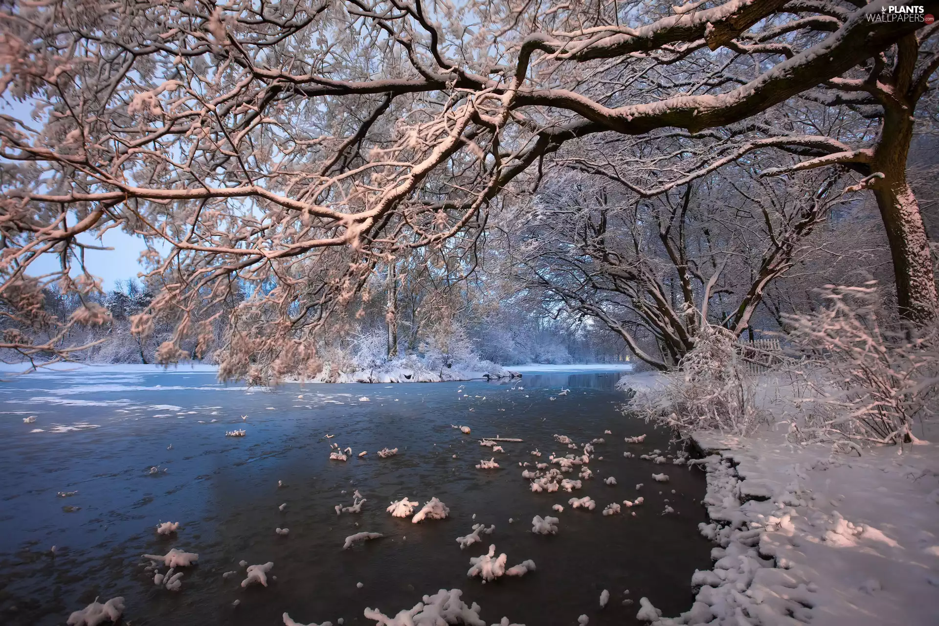 snow, winter, viewes, lake, trees