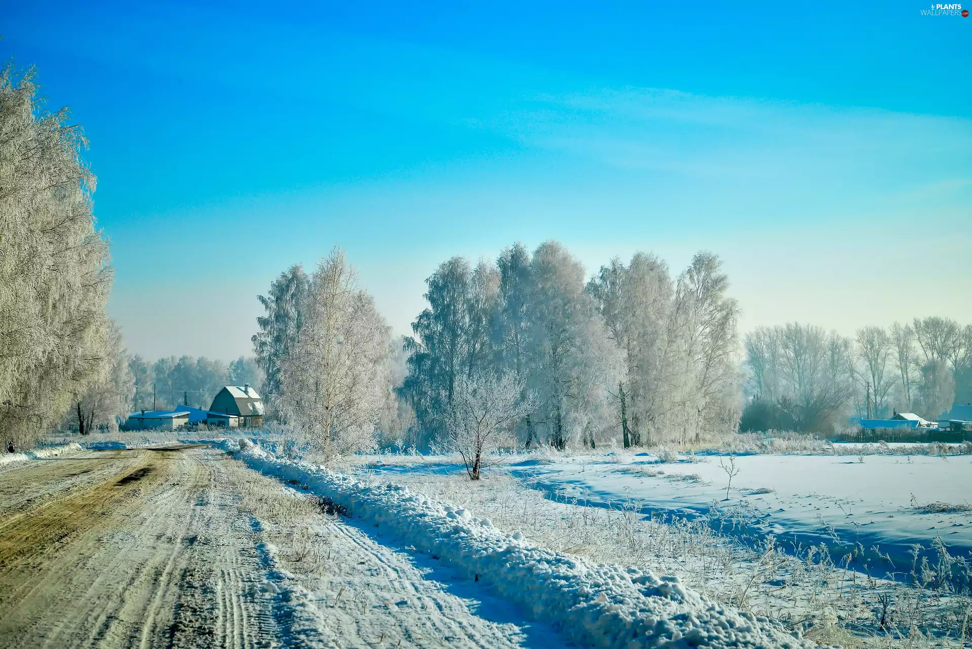 frozen, Way, viewes, winter, trees, village