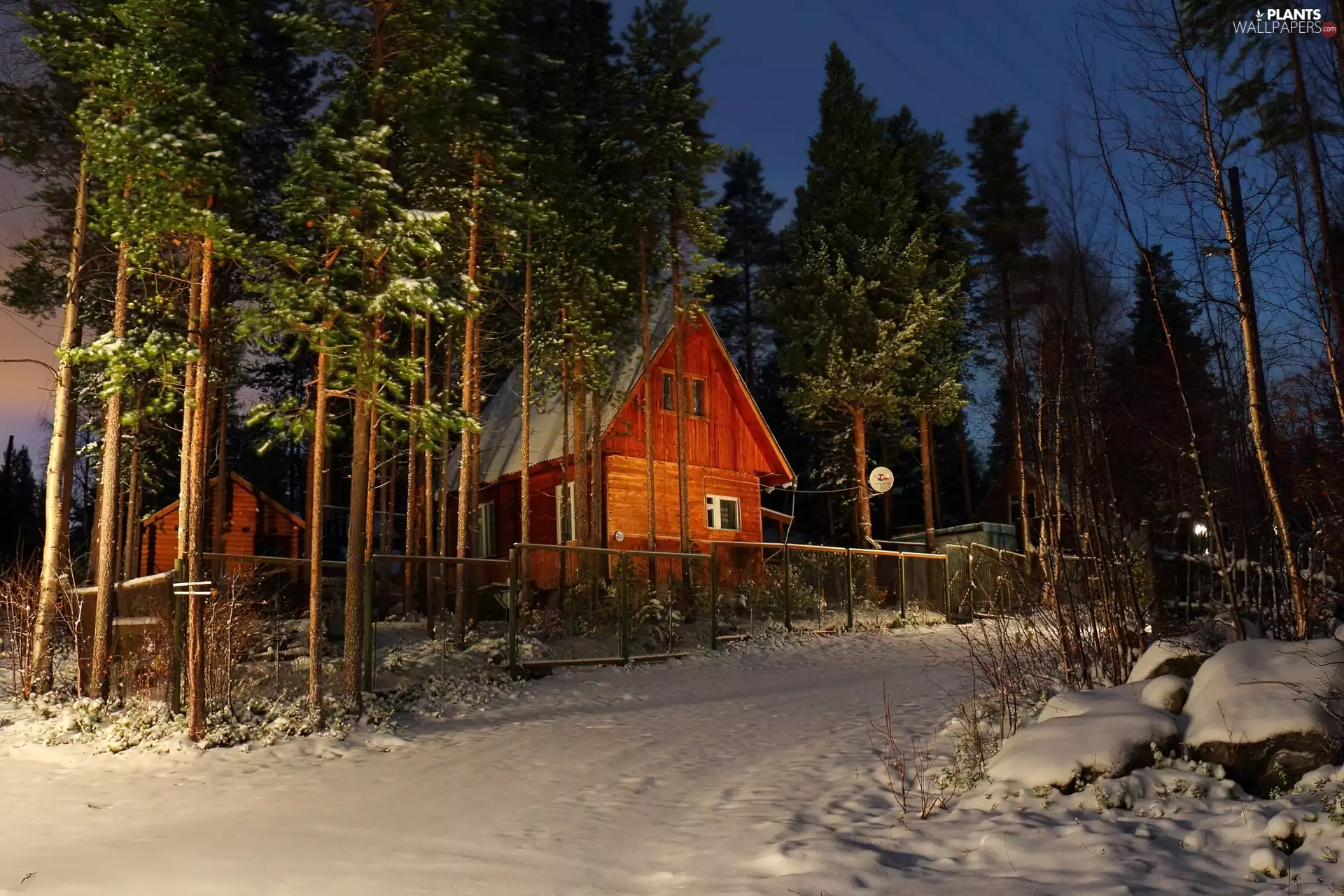 house, forest, snow, winter, Night, Way