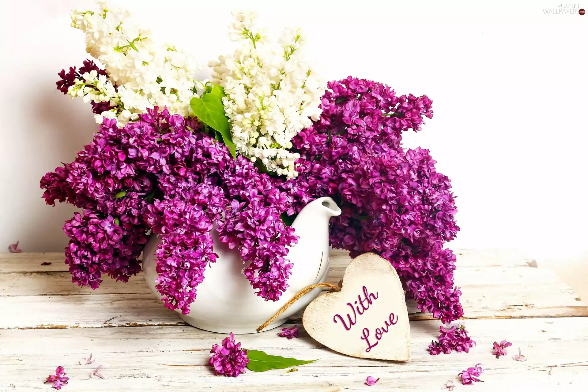 kettle, bouquet, text, With Love, Heart, without