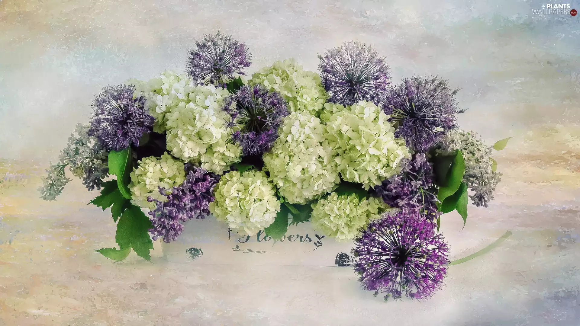 garlic, without, bouquet, Viburnum, Flowers