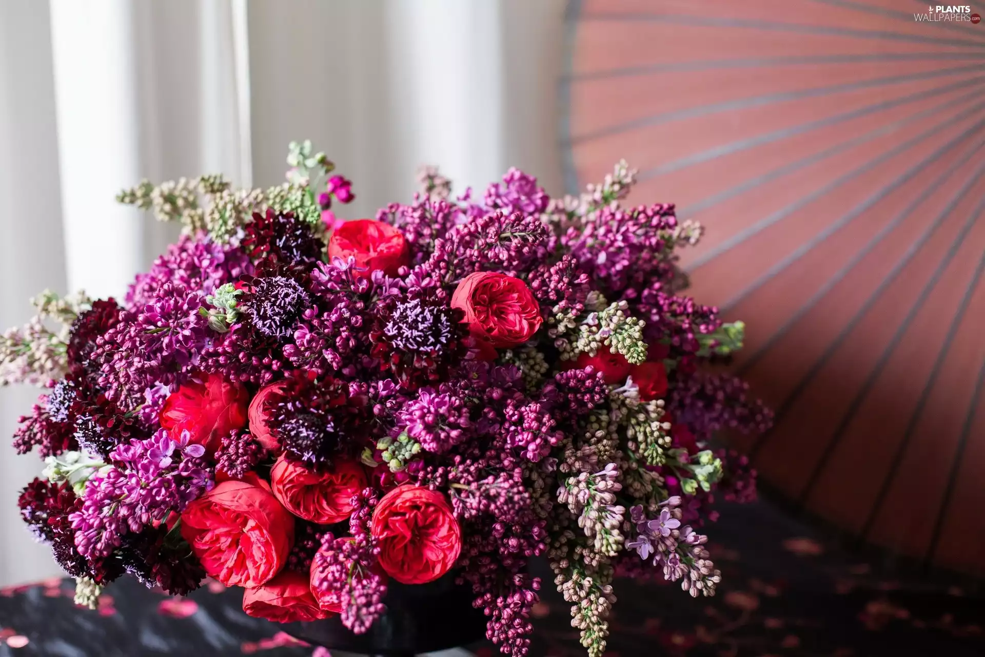 without, Flowers, bouquet