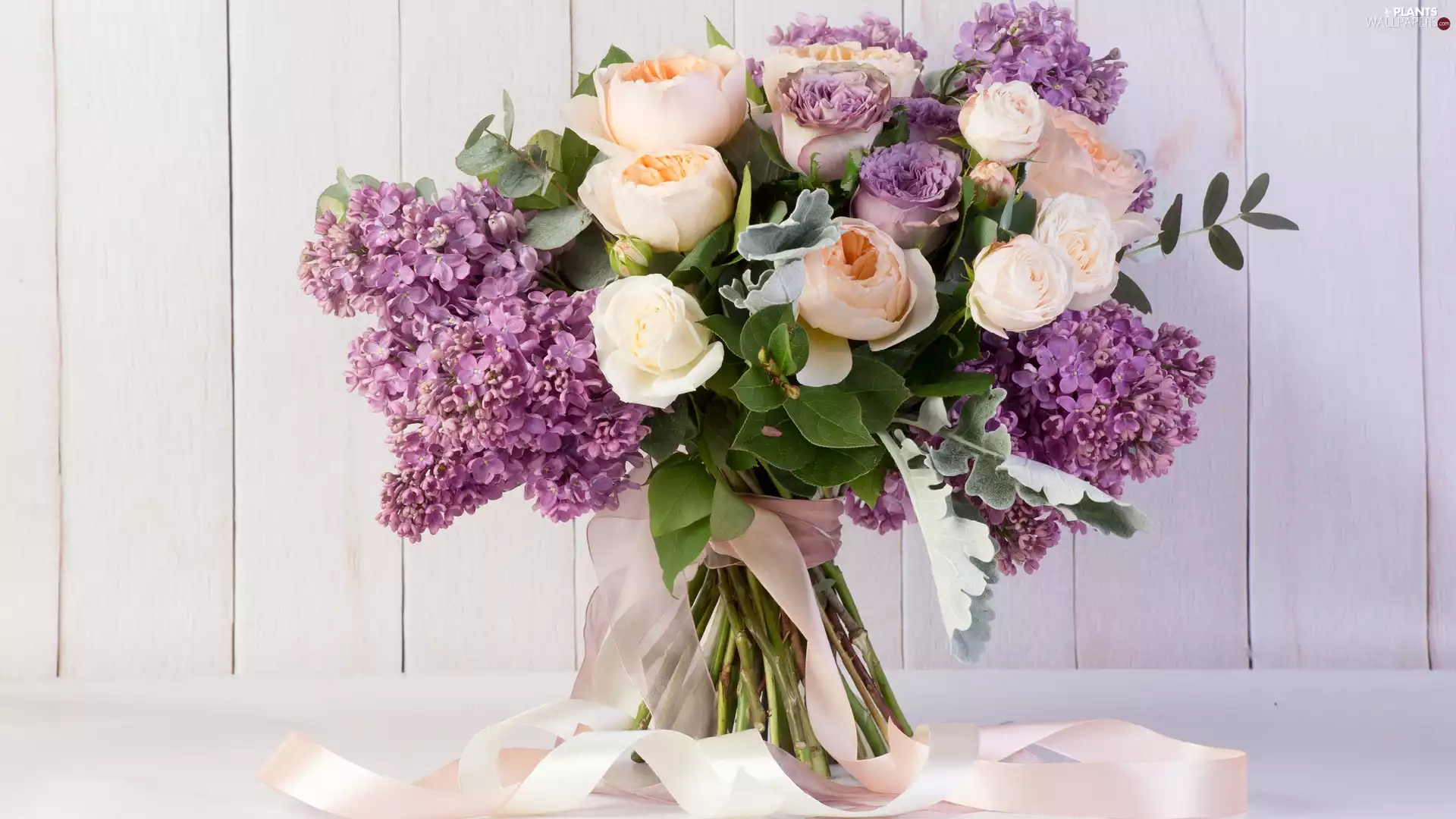 without, bouquet, roses