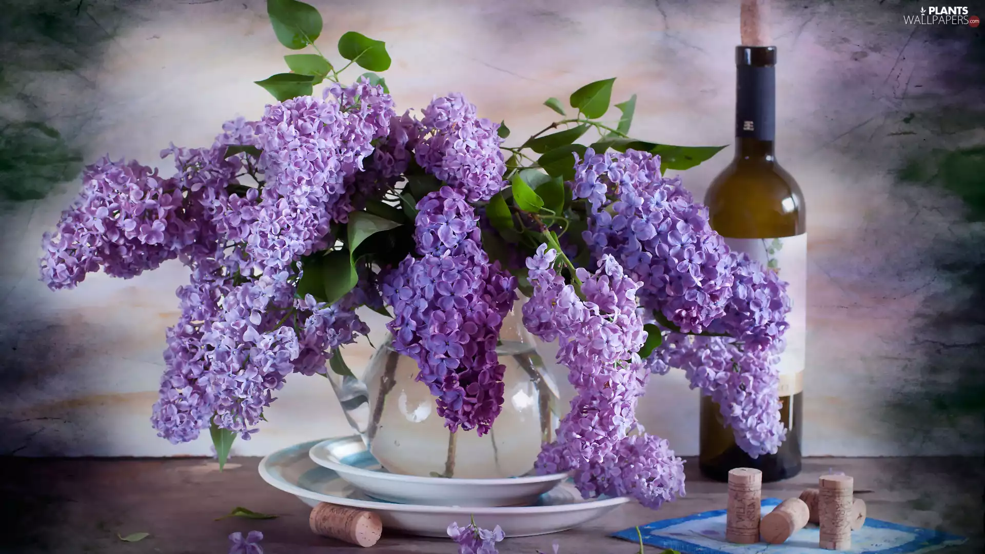 Violet, bouquet, Bottle, without