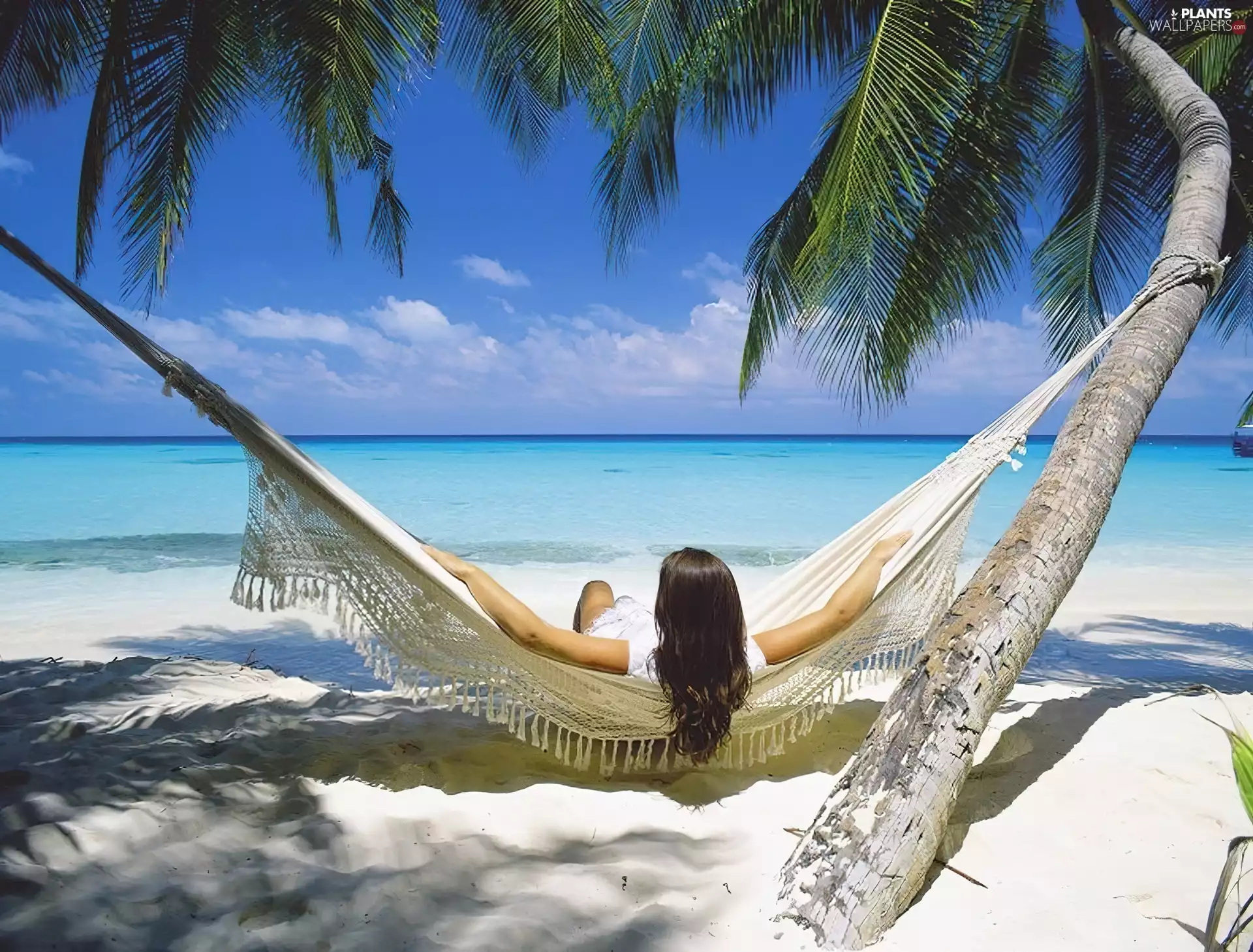 Women, Palms, Hammock