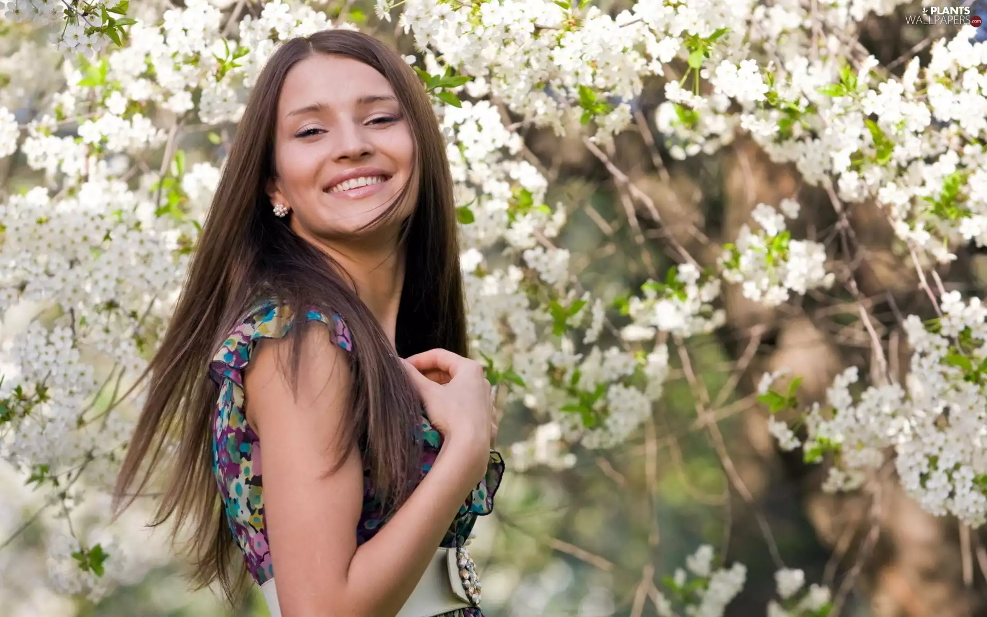 smiling, flourishing, trees, Women