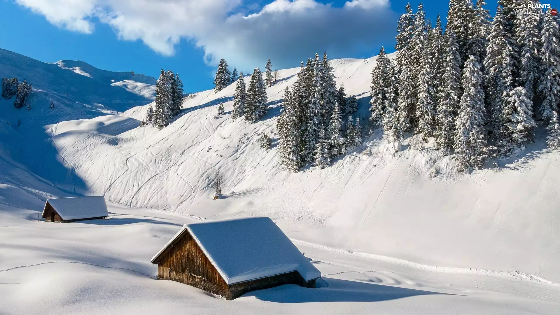 snow, trees, Houses, viewes, Sheds, Mountains, winter, wood