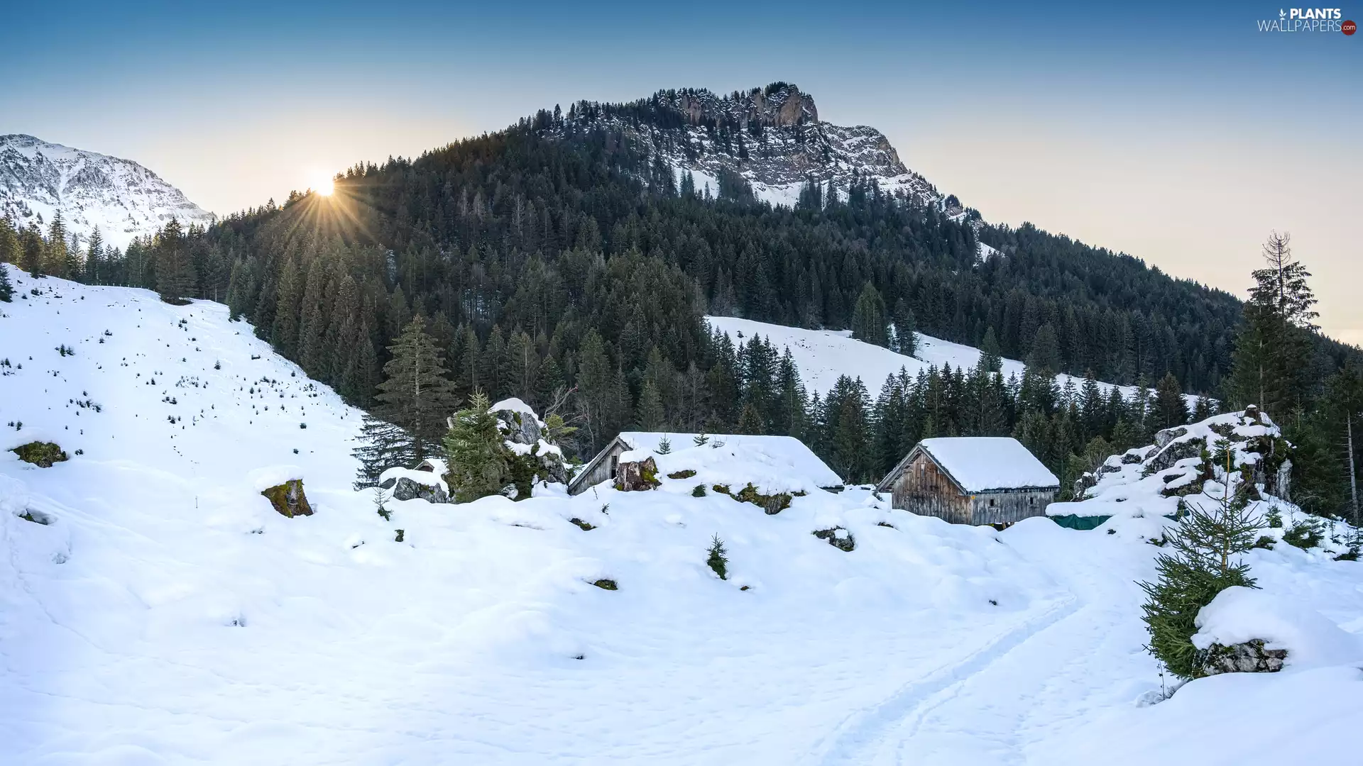 trees, viewes, rays of the Sun, wood, Path, Mountains, winter, Sheds