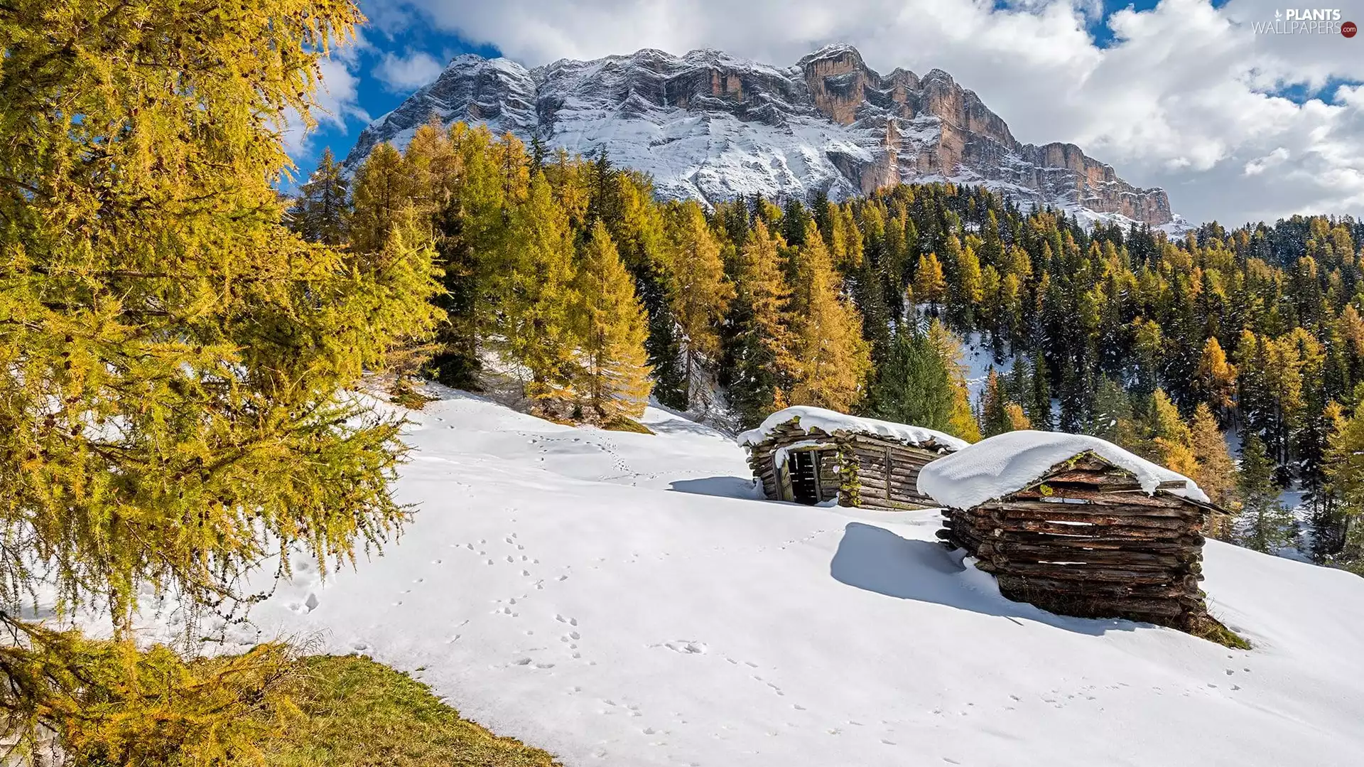 Sheds, Mountains, viewes, wood, winter, trees, clouds