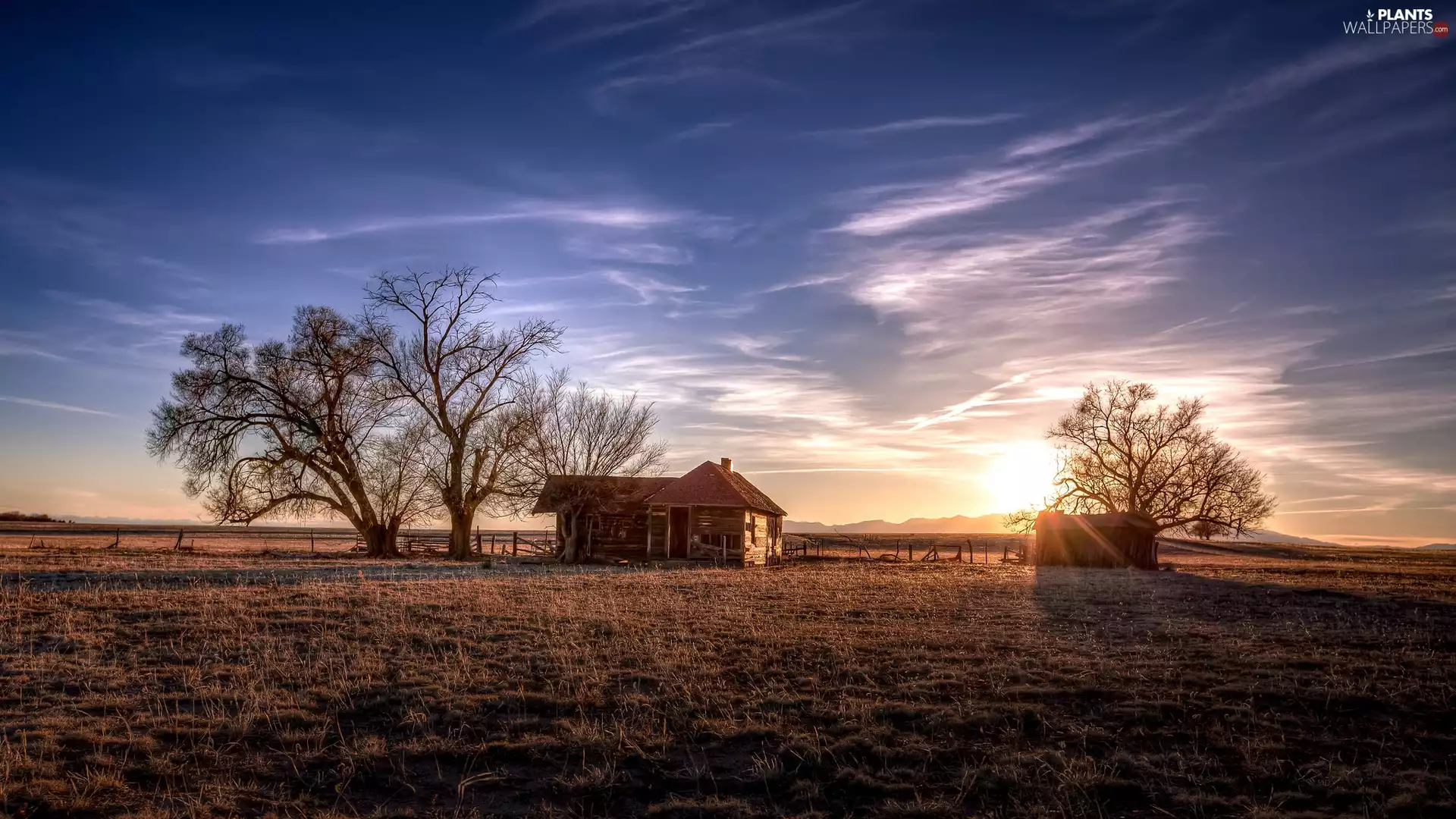 wooden, house, Sunrise, trees, morning, Old car, Field, viewes