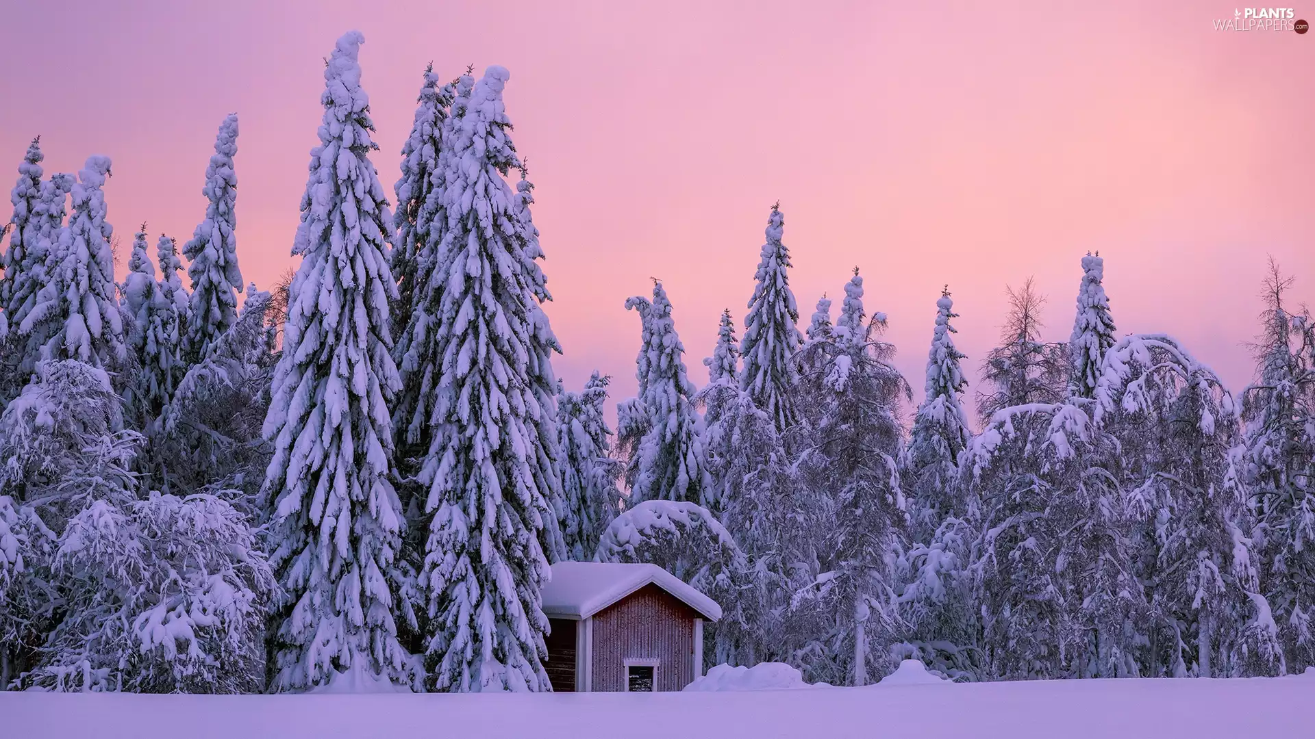 viewes, winter, cote, Wooden, Snowy, trees
