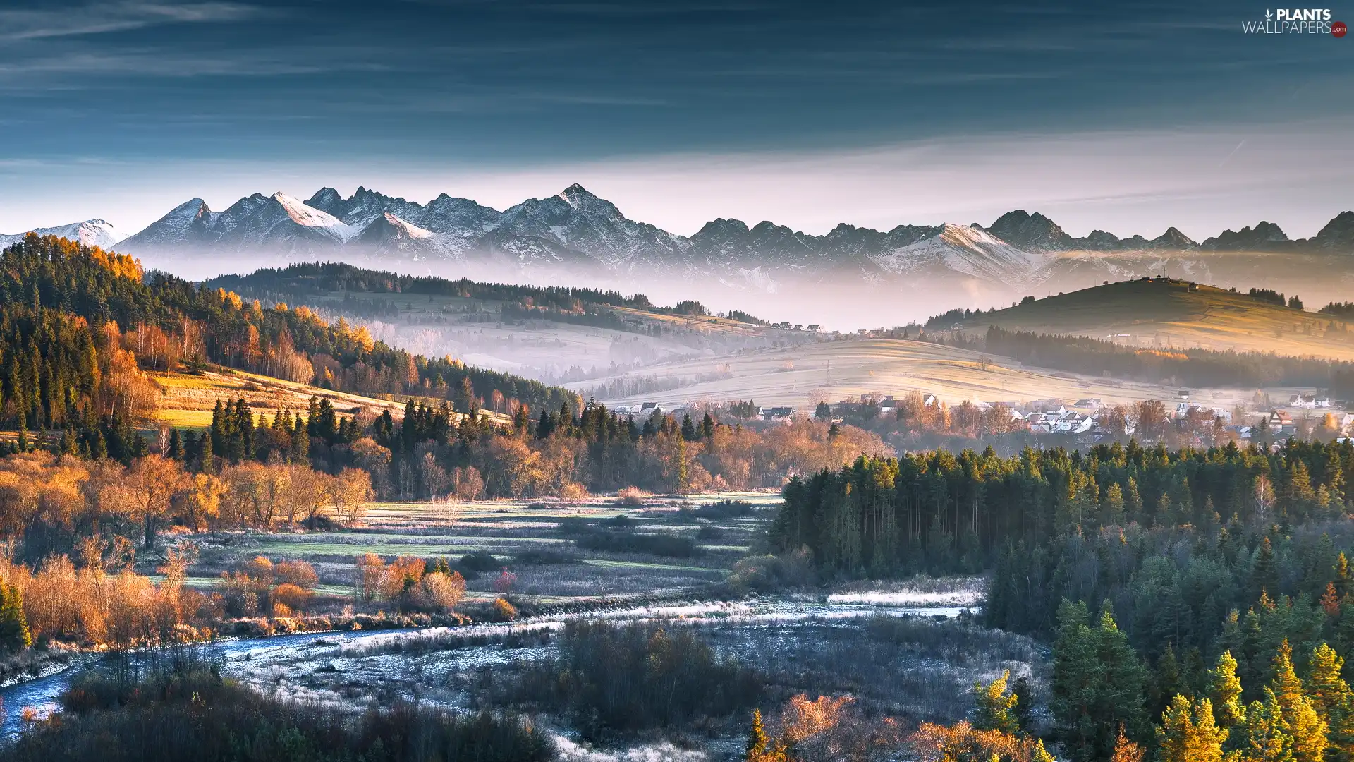 trees, Fog, autumn, woods, Mountains, viewes, Poland