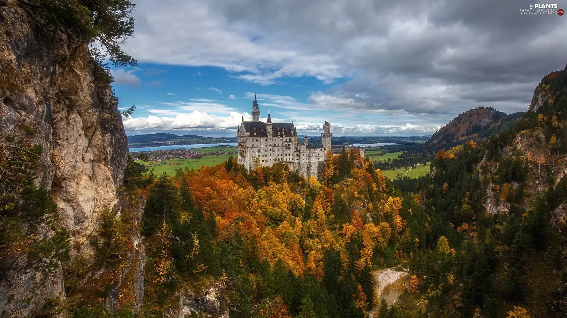 rocks, Bavaria, trees, Neuschwanstein Castle, Germany, woods, viewes