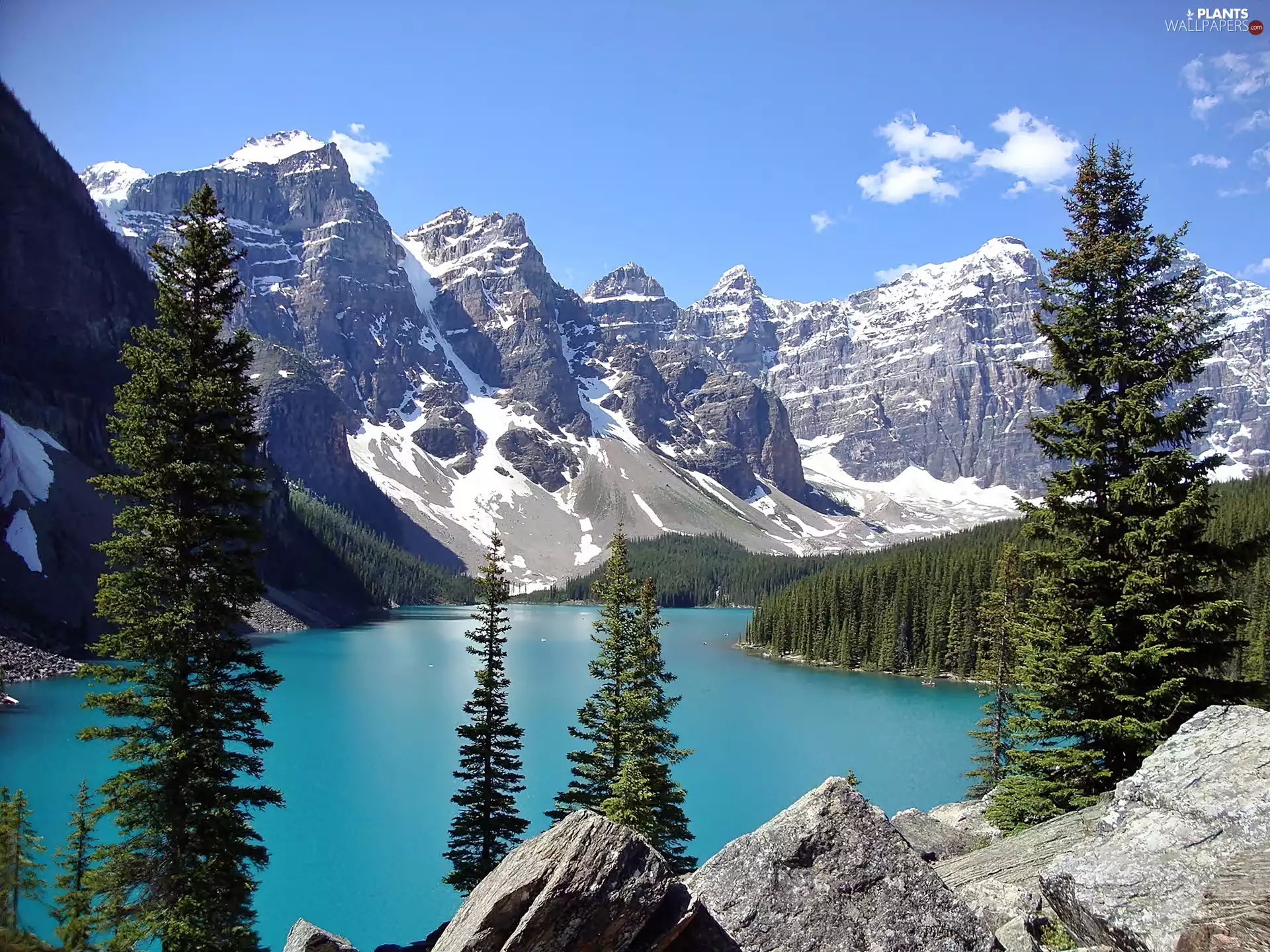 woods, Banff National Park, rocks, Mountains, Canada, Lake Moraine, Spruces
