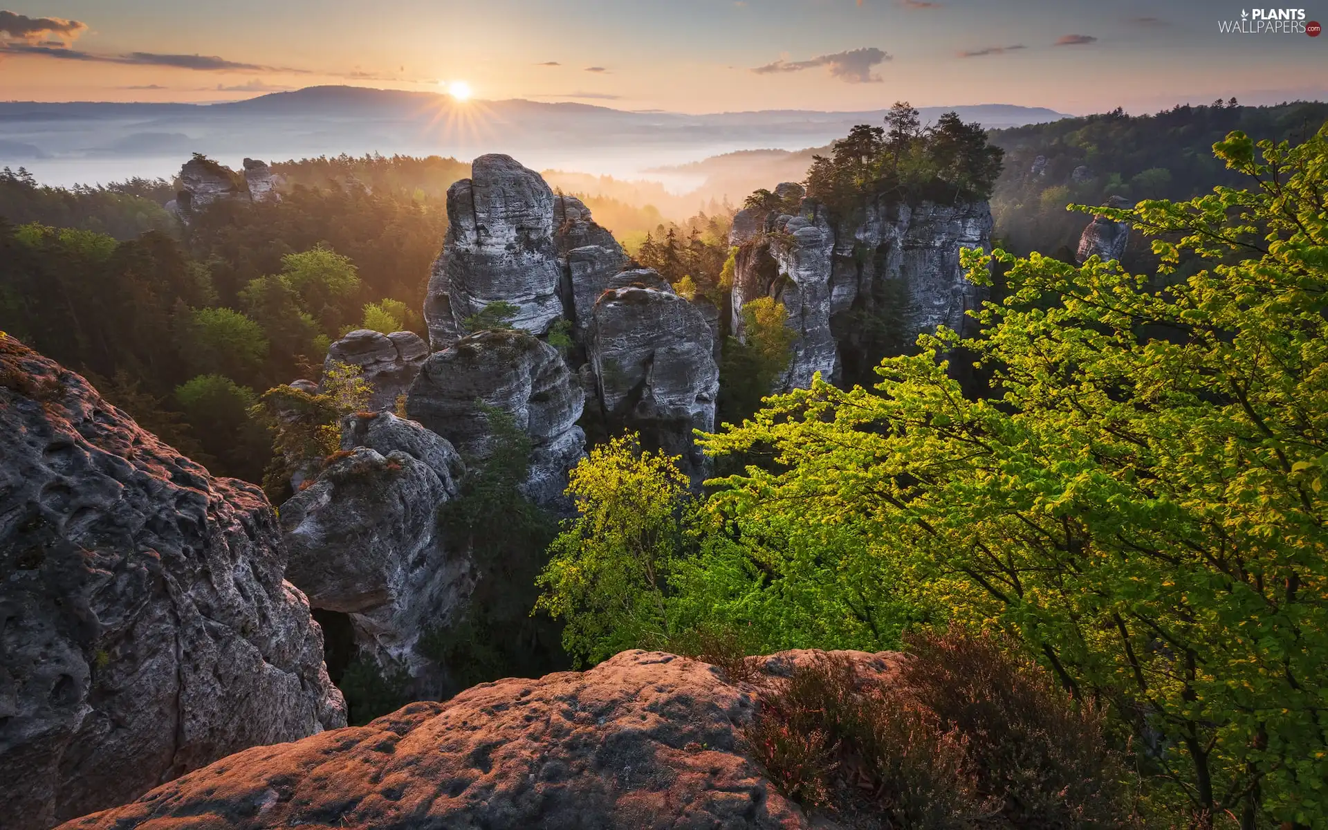 rocks, Sunrise, viewes, woods, trees, Mountains