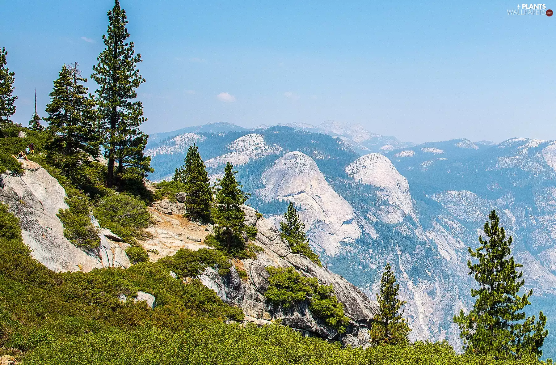 Mountains, trees, viewes, woods