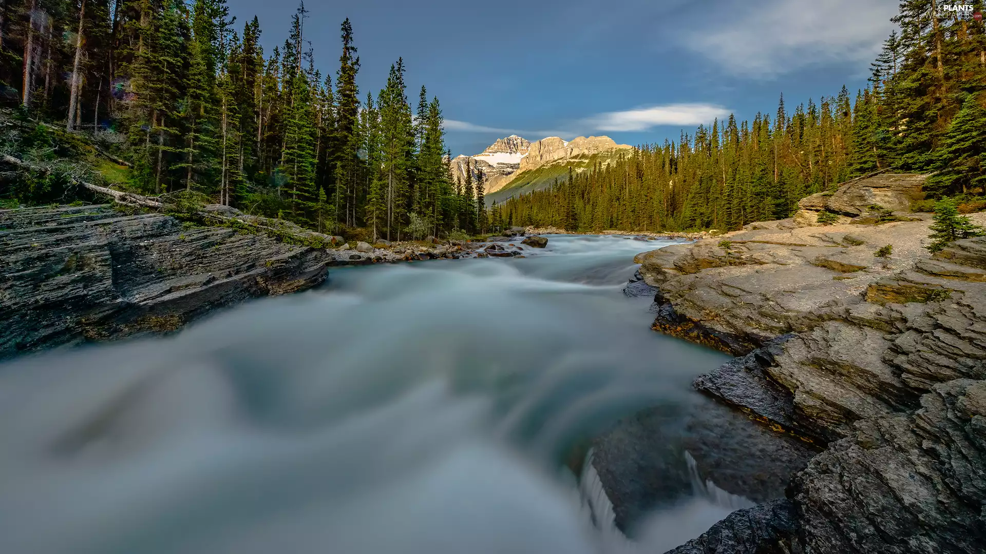 River, rocks, Mountains, woods