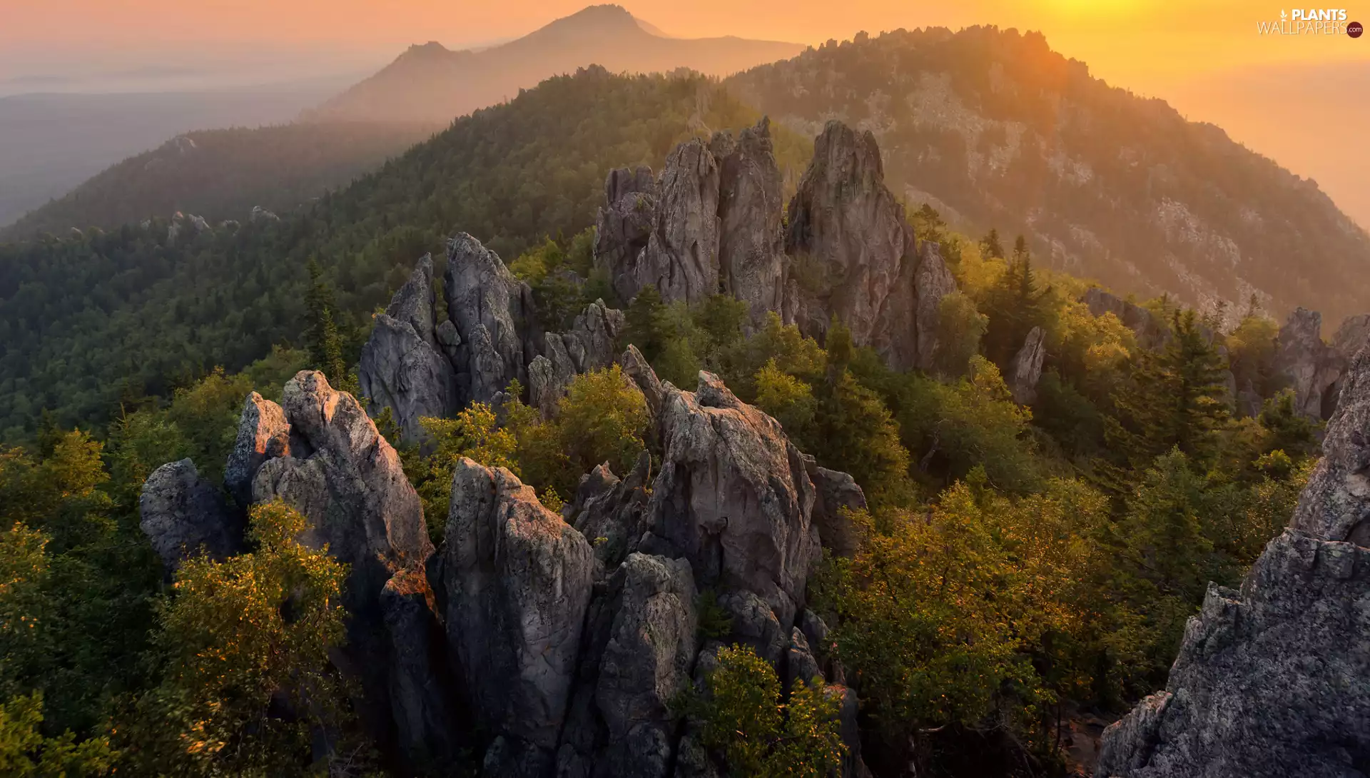 viewes, woods, rocks, trees, Mountains