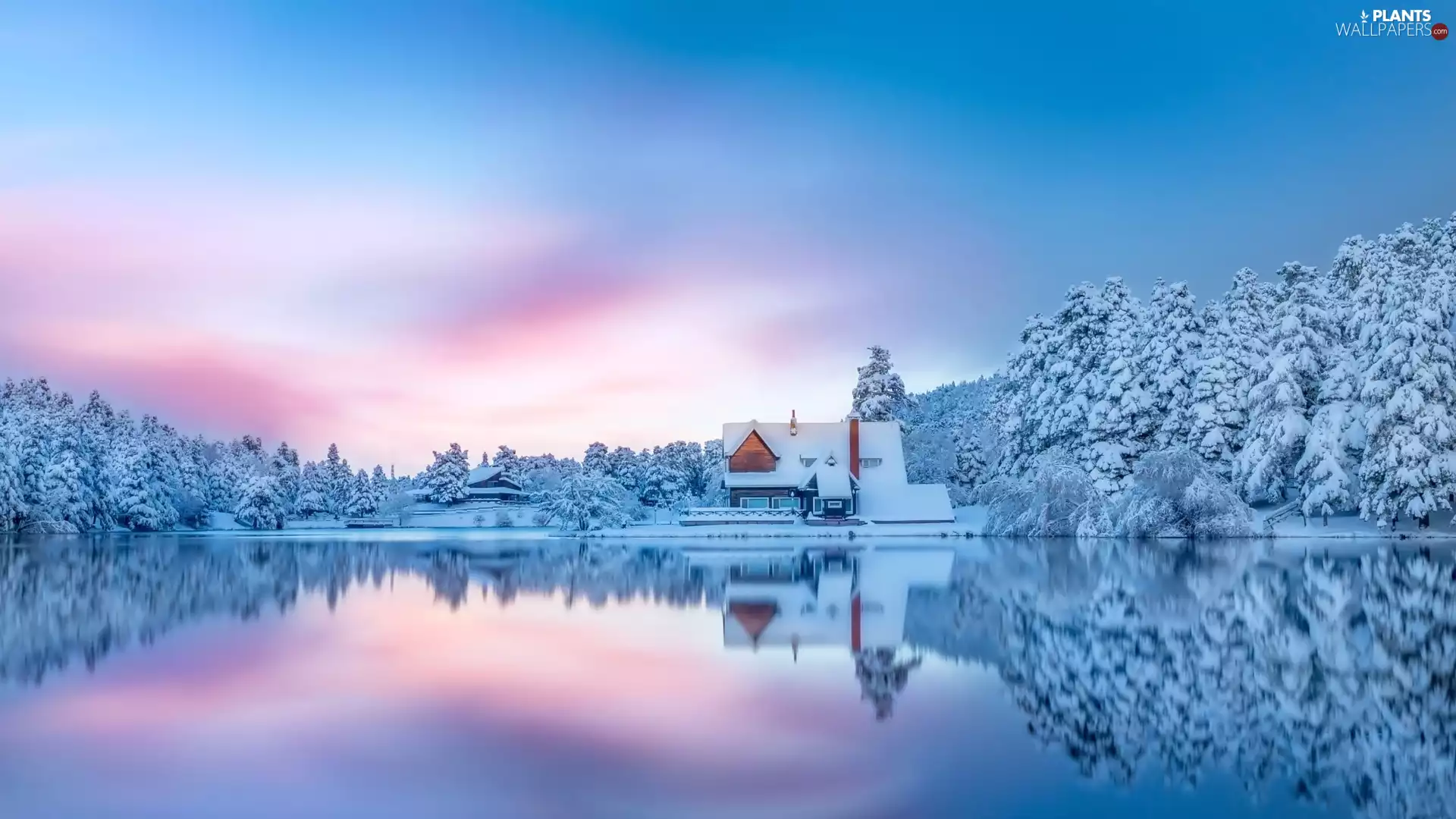 trees, Houses, Sunrise, woods, lake, viewes, winter