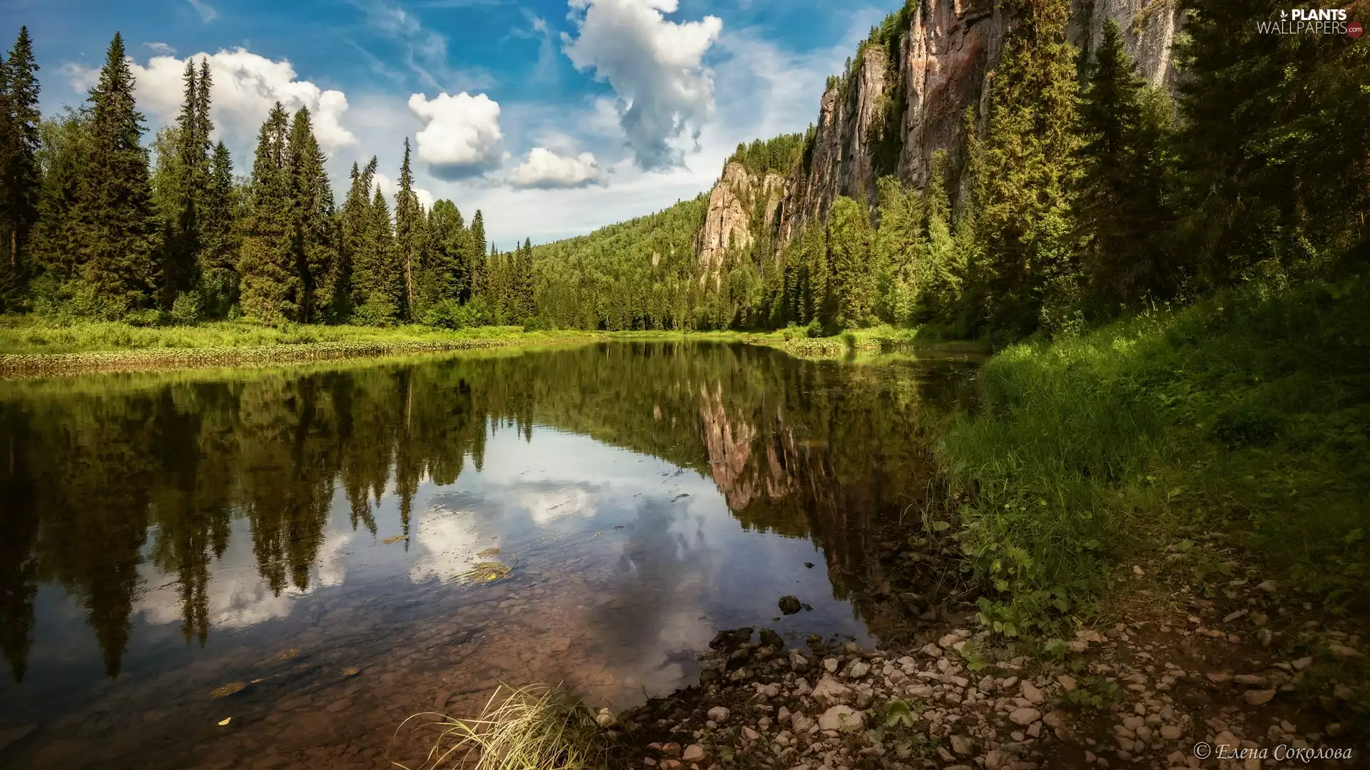 rocks, woods, trees, viewes, lake