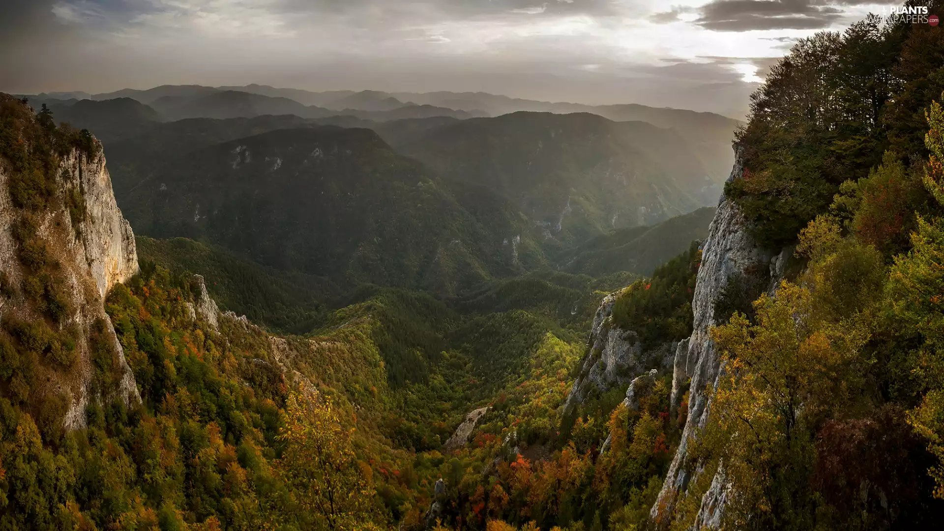 trees, Mountains, Valley, woods, autumn, viewes, rocks