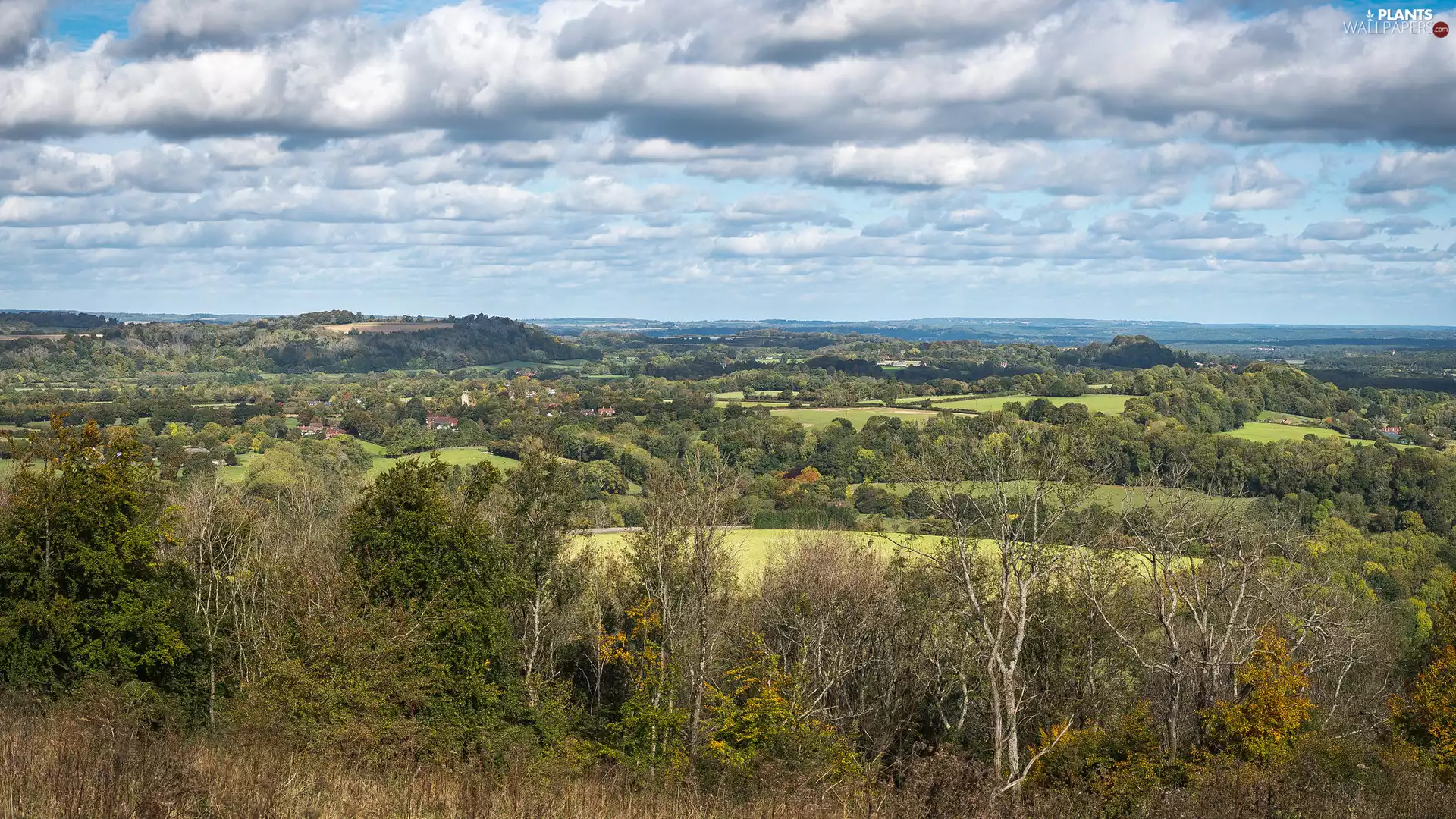 Houses, trees, field, woods, medows, viewes