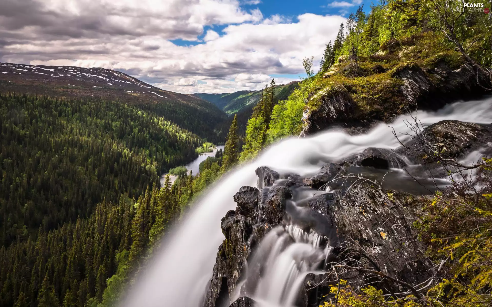 woods, Mountains, trees, viewes, Plants, clouds, waterfall, Stones, River