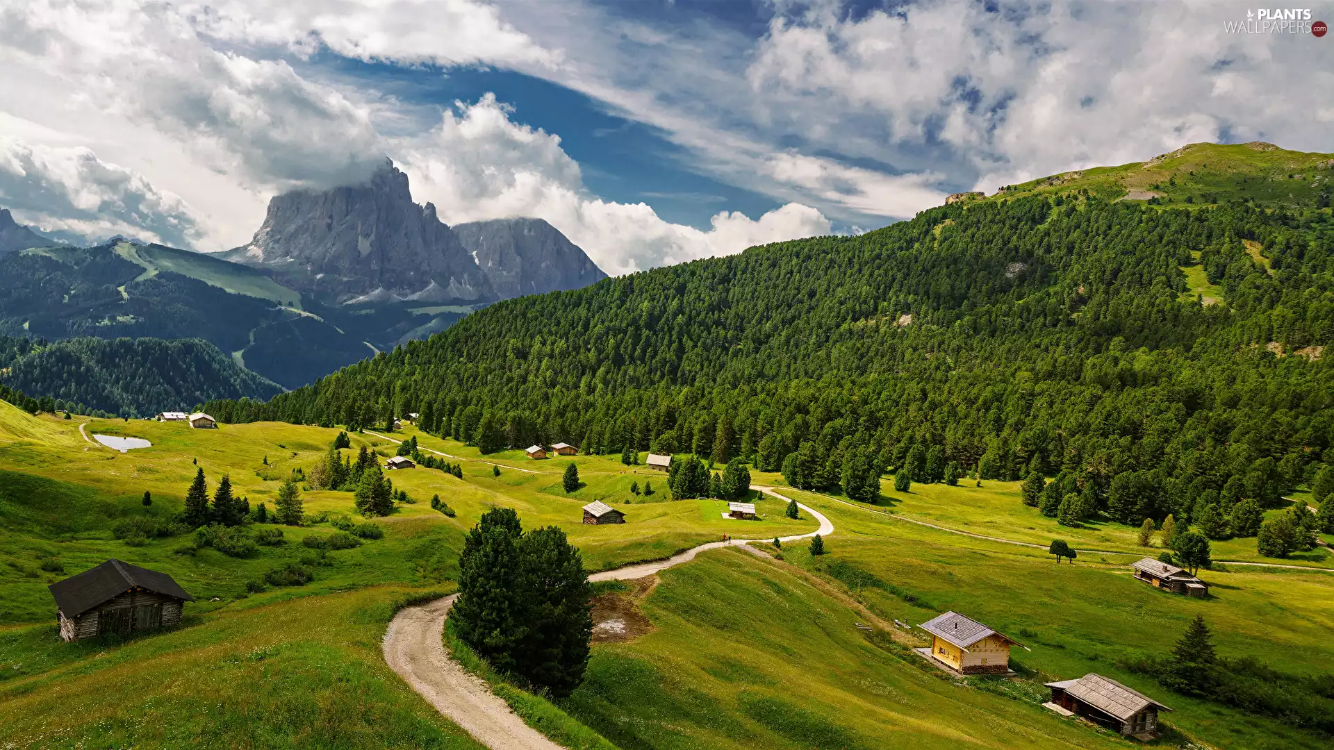woods, Mountains, trees, viewes, Houses, clouds, Way, wood, Valley