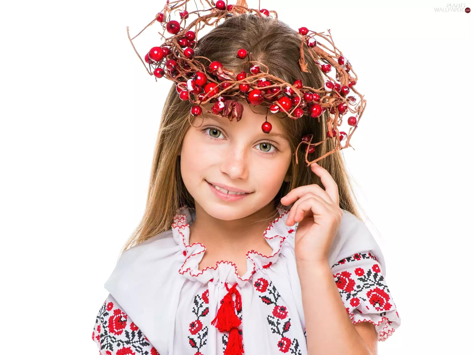DBZ, girl, Coloured, wreath, Ukrainian, rowan, Blouse