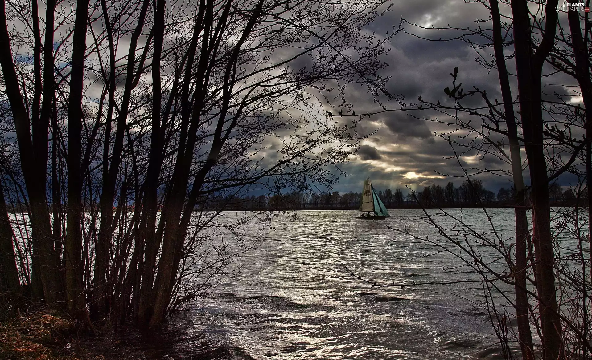 viewes, Yacht, lake, trees, clouds