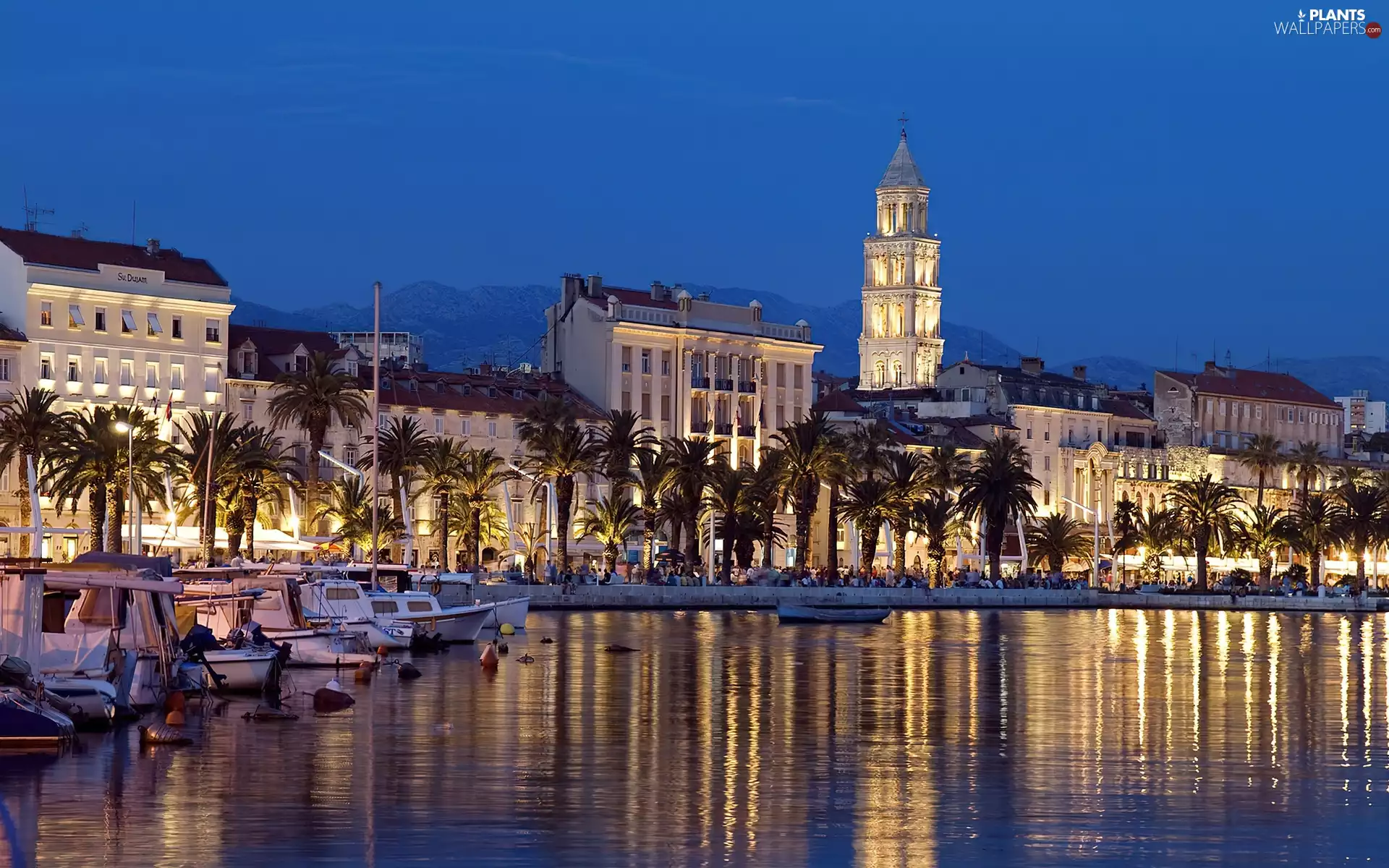 town, Split, wharf, Yachts, evening, panorama