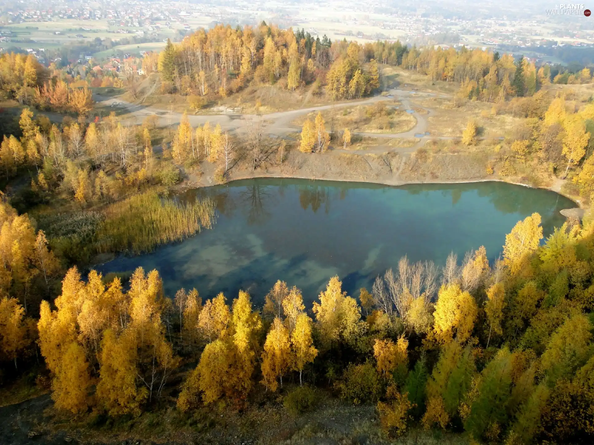 birch, autumn, Yellow, Houses, Leaf, lake