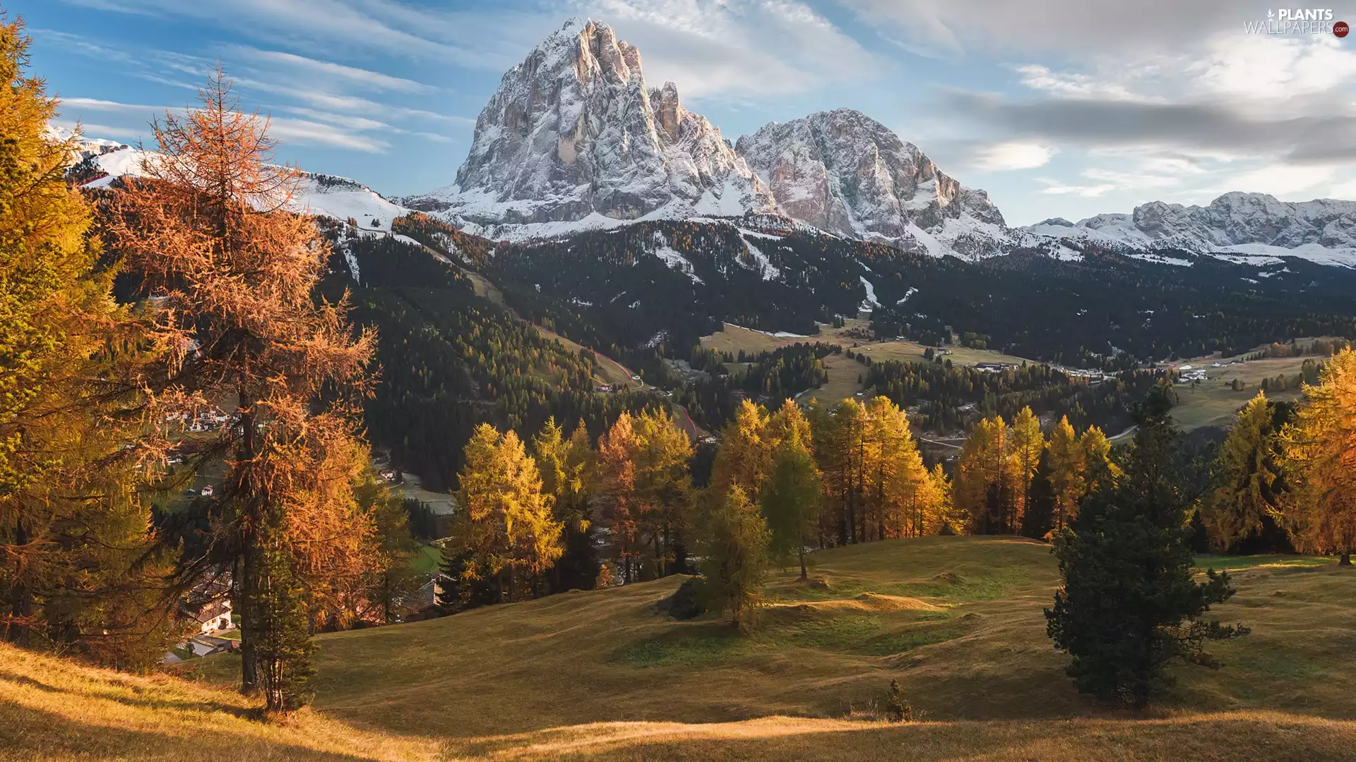 trees, woods, autumn, Yellowed, Mountains, viewes, clouds