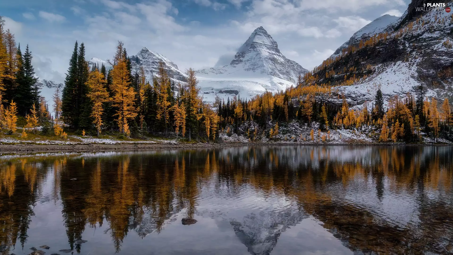 trees, lake, clouds, Yellowed, Mountains, viewes, winter