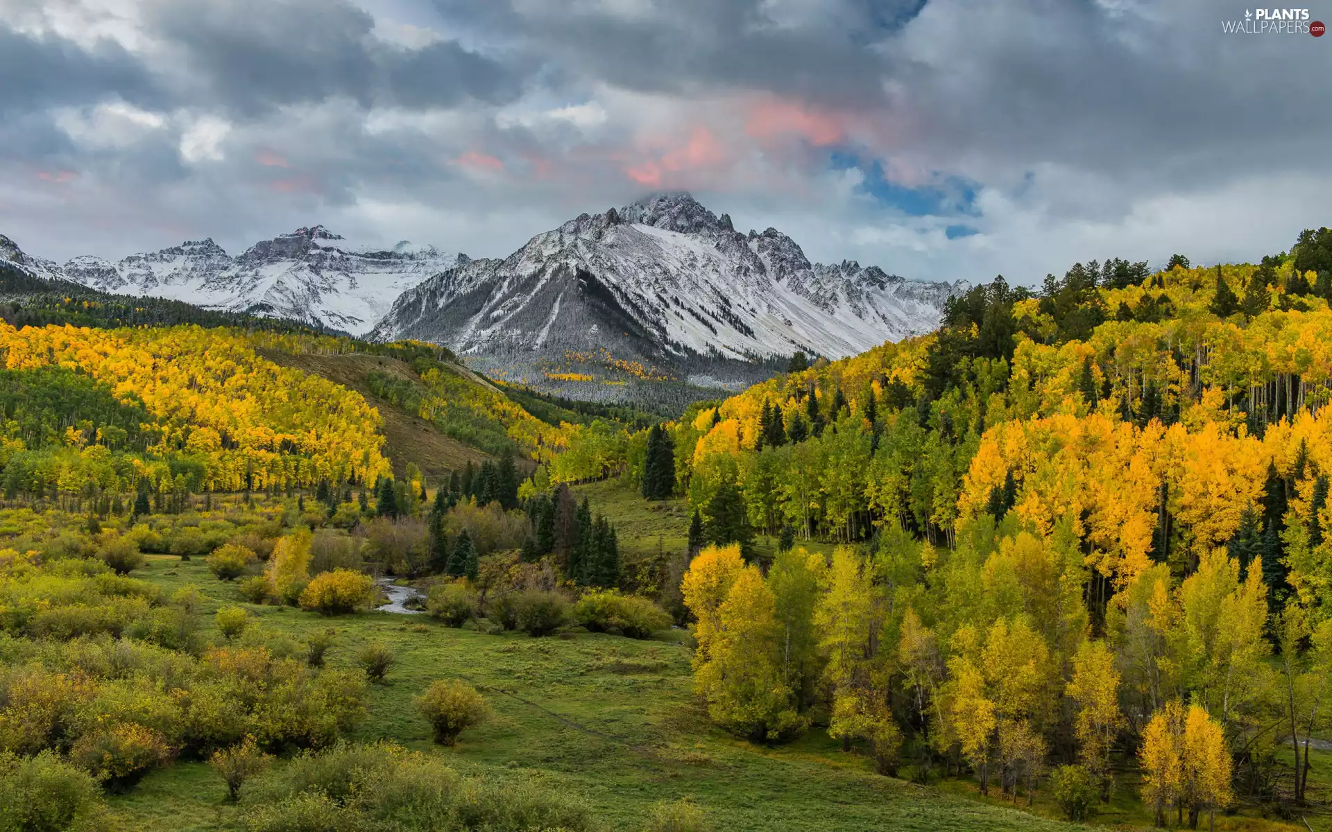trees, Mountains, VEGETATION, Yellowed, autumn, viewes, clouds