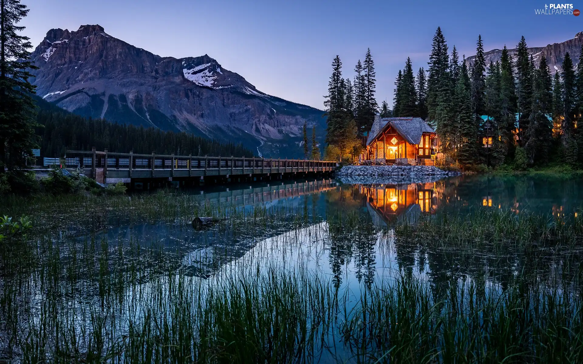 rushes, reflection, trees, reflection, house, viewes, Mountains, Yoho National Park, Canada, bridge, Emerald Lake, lake