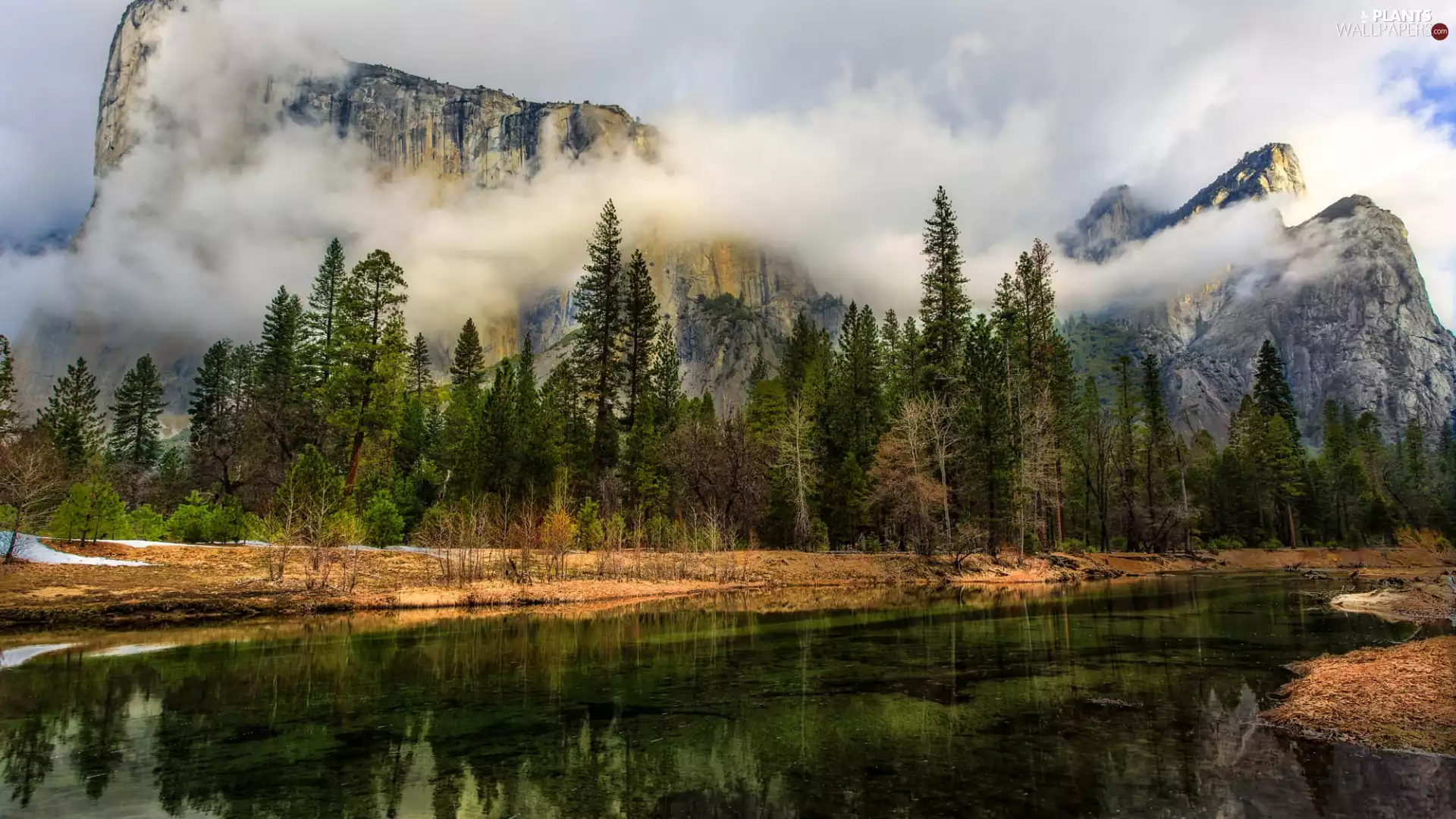 viewes, Mountains, The United States, River, California, trees, clouds, Yosemite National Park