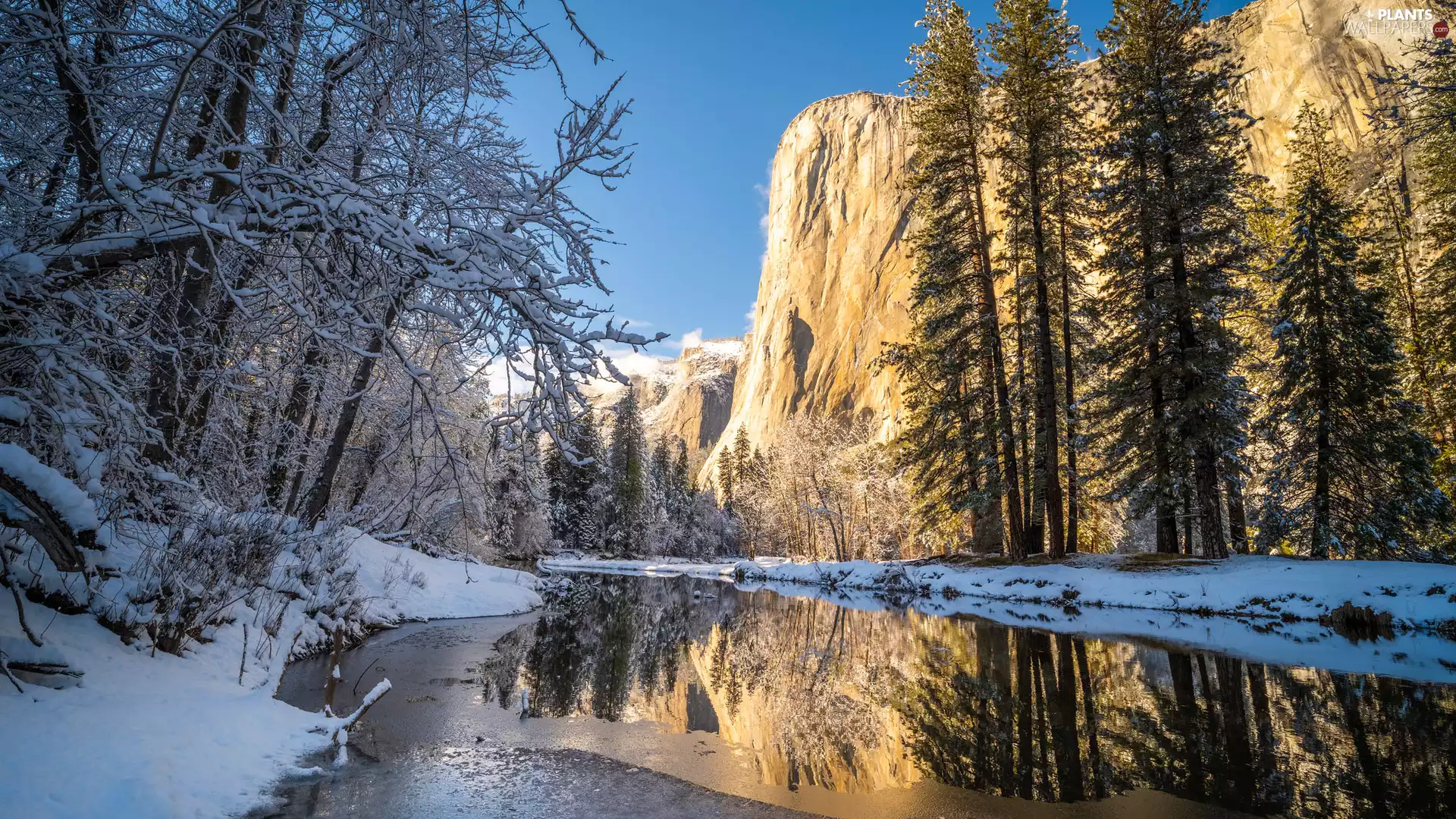 viewes, River, The United States, Merced, California, trees, winter, Yosemite National Park