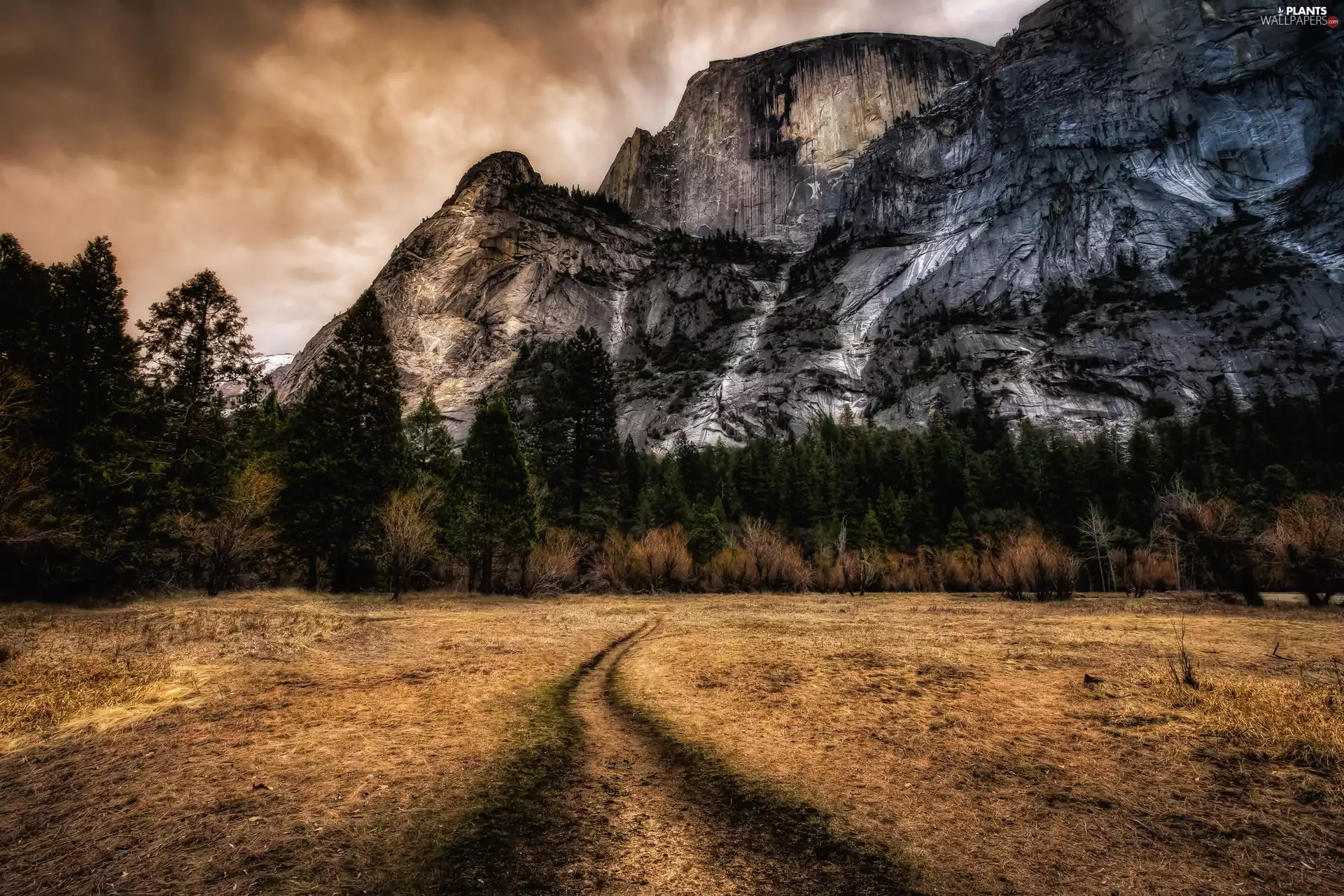 Half Dome Mountains, State of California, trees, Yosemite National Park, The United States, Path, viewes