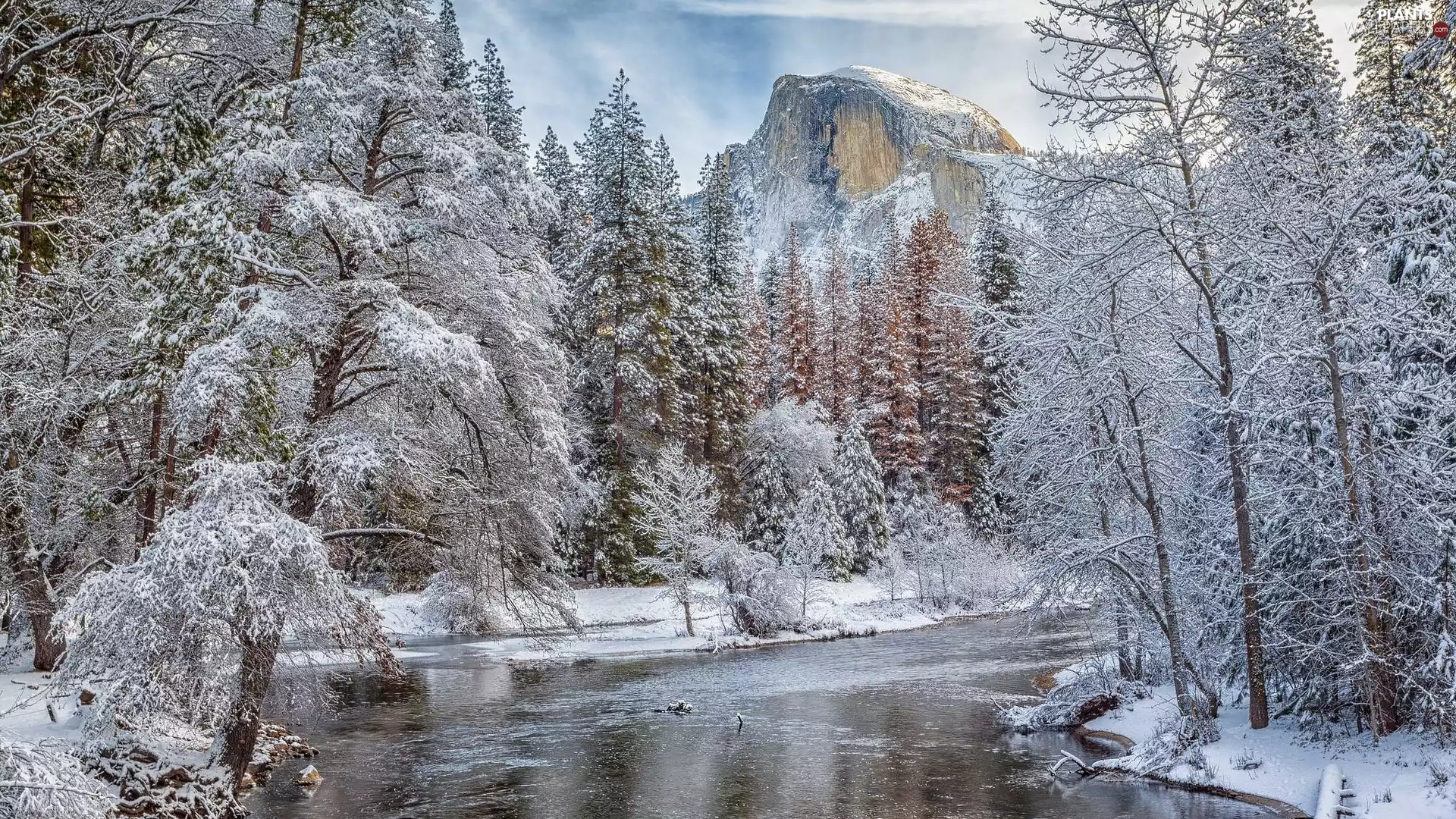 State of California, The United States, Yosemite National Park, winter, viewes, forest, Mountains, trees, Merced River