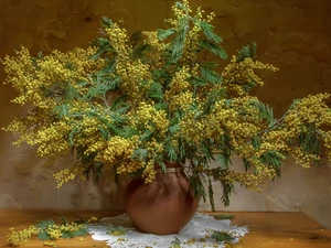Vase, napkin, Twigs, Acacia Dealbata, bouquet