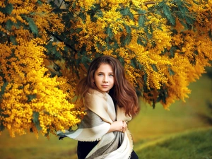 girl, Acacia Dealbata, shawl, trees