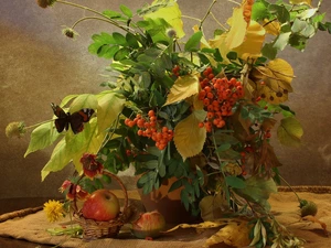 Plant, butterfly, napkin, basket, Table, Leaf, bouquet, Apple
