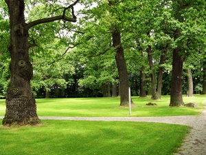 Park, Natolin, oaks, at the Palace