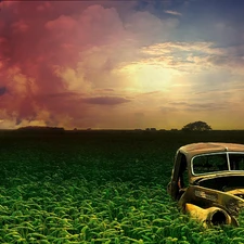 Automobile, Retro, sun, cereals, west