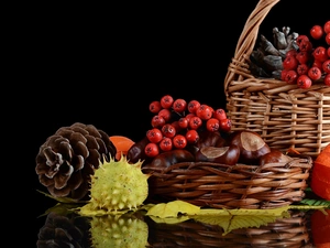 Baskets, Plant, harvest, cones, chestnuts, Autumn, composition