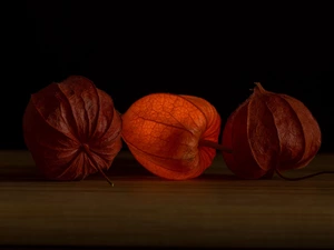 background, Tomatillo, dark