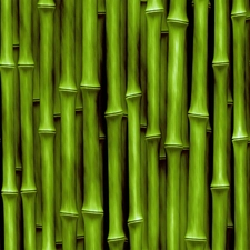 bamboo